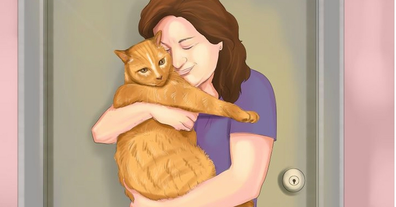 5 Modi Per Fare Amicizia E Prendersi Cura Di Un Gatto Randagio
