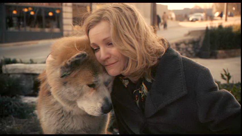 Cani al cinema: 15 film su Fido da non perdere