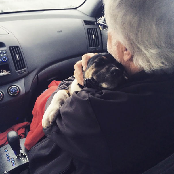 17-dad-wasnt-excited-about-us-getting-a-dog-too-bad-puppy-fell-in-love-with-him