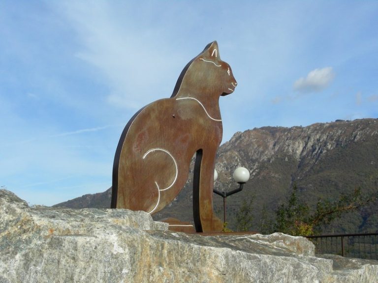 In Italia esiste un vero e proprio paese dei gatti In Italia esiste un vero e proprio paese dei gatti