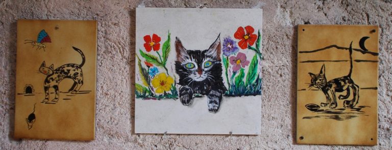 In Italia esiste un vero e proprio paese dei gatti In Italia esiste un vero e proprio paese dei gatti
