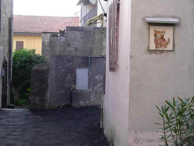 In Italia esiste un vero e proprio paese dei gatti In Italia esiste un vero e proprio paese dei gatti