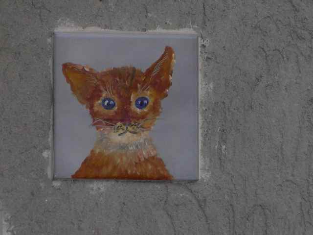 In Italia esiste un vero e proprio paese dei gatti In Italia esiste un vero e proprio paese dei gatti