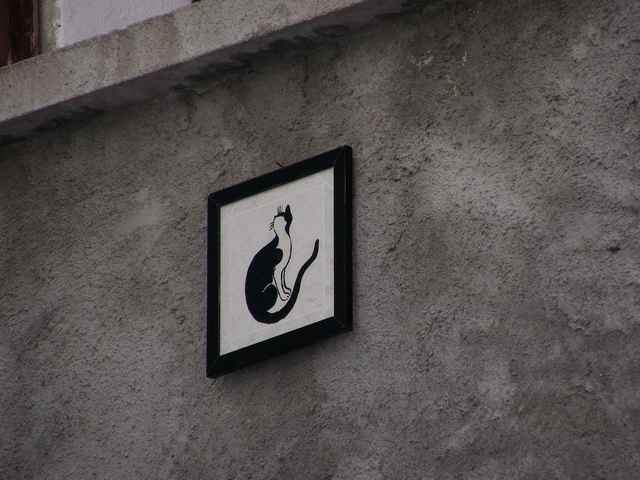 In Italia esiste un vero e proprio paese dei gatti In Italia esiste un vero e proprio paese dei gatti