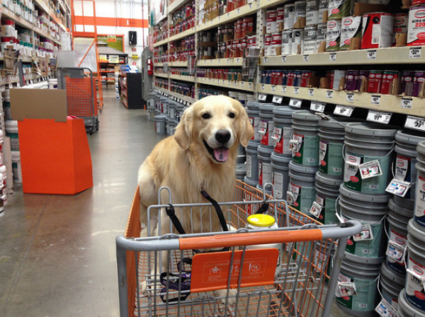 homedepot1