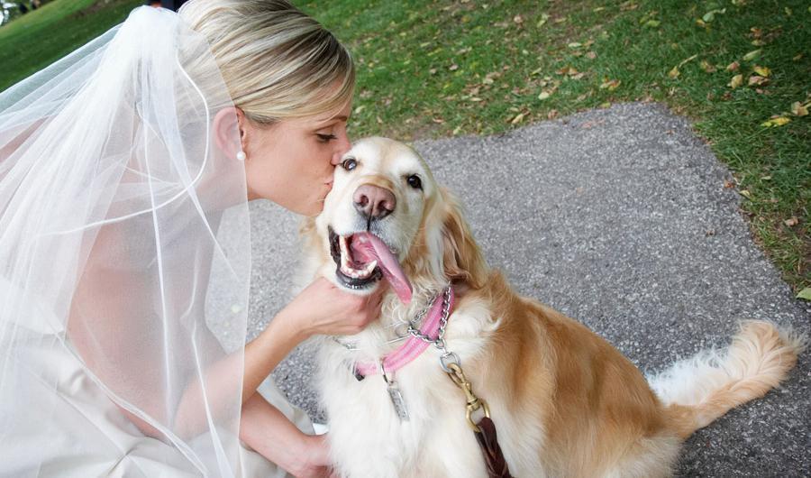 Non innamorarti mai di una donna che ama i cani: La lettera che ha conquistato il web!