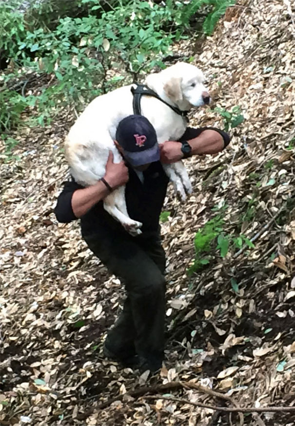 blind-dog-found-after-week-california-mountains-14