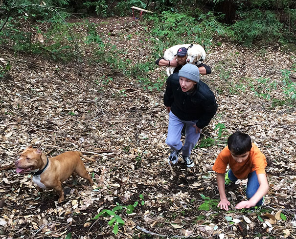 blind-dog-found-after-week-california-mountains-5