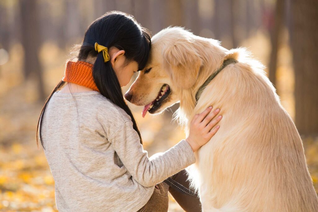 cane che gioca con la sua umana