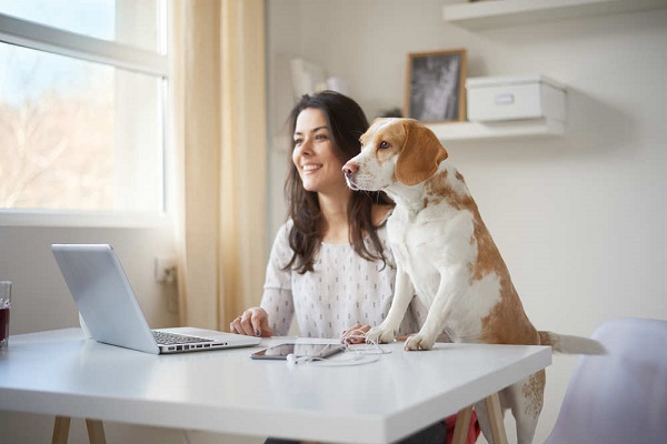 cane davanti al computer con ragazza
