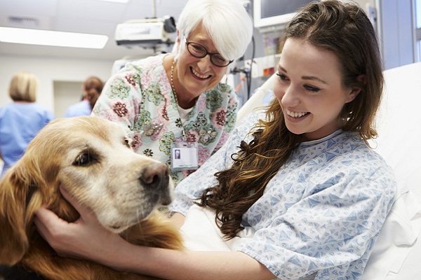 pet therapy con il cane