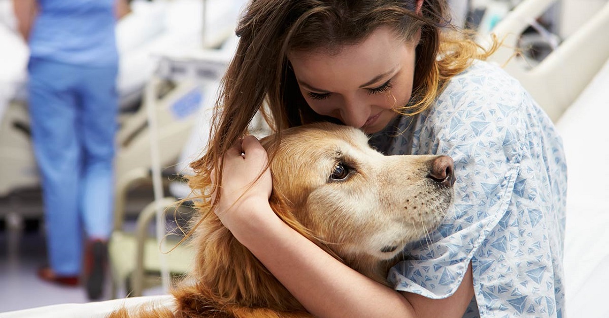 cane consola padrona in ospedale