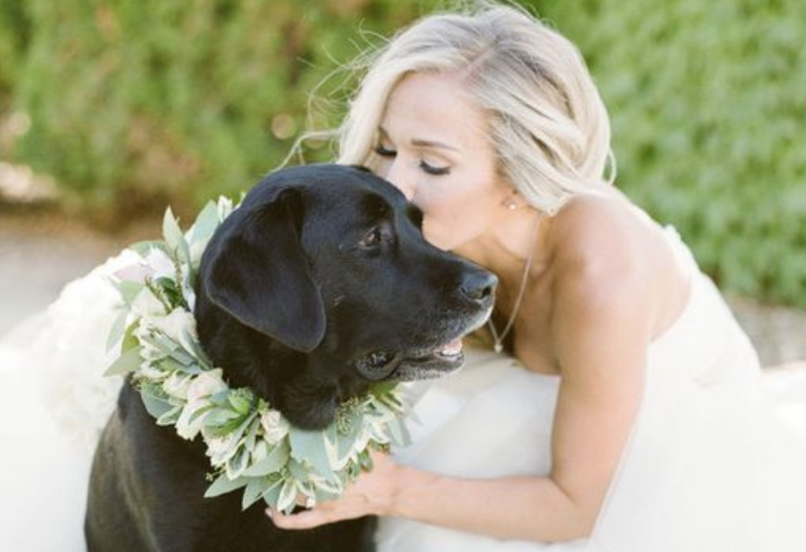 Cani e abbracci: 10 foto che dimostrano l’amore più puro