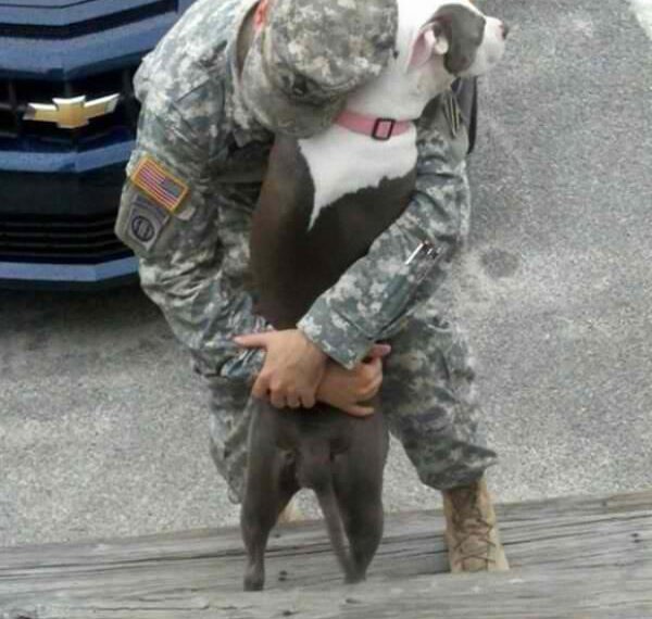 soldato abbraccia il cane