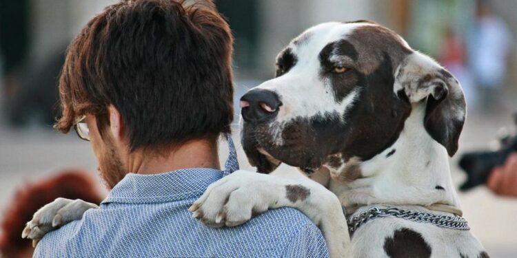 cane abbracciato