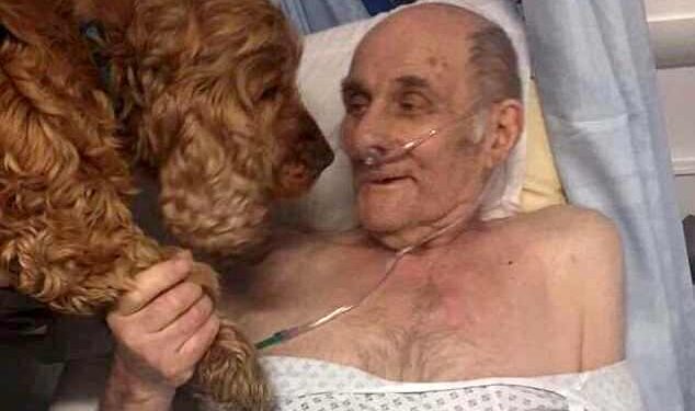cane abbracciato ospedale