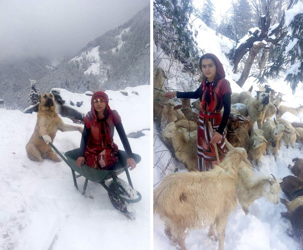 girl-dog-rescue-mother-goat-baby-turkey-7