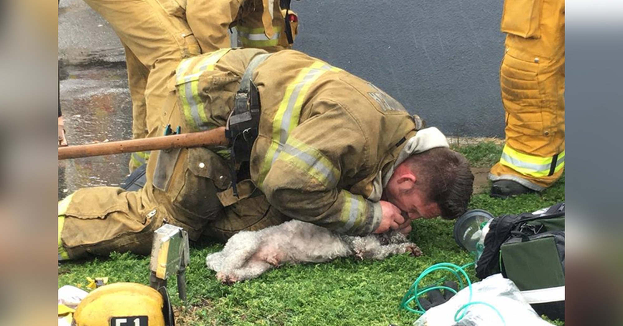 Pompiere fa la respirazione bocca a bocca ad un cane che era rimasto intrappolato in una casa in fiamme