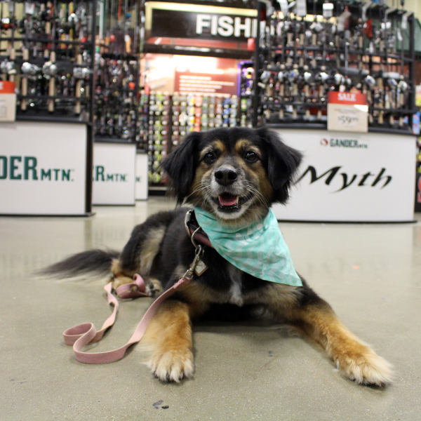 mia_gander_mtn-600x600