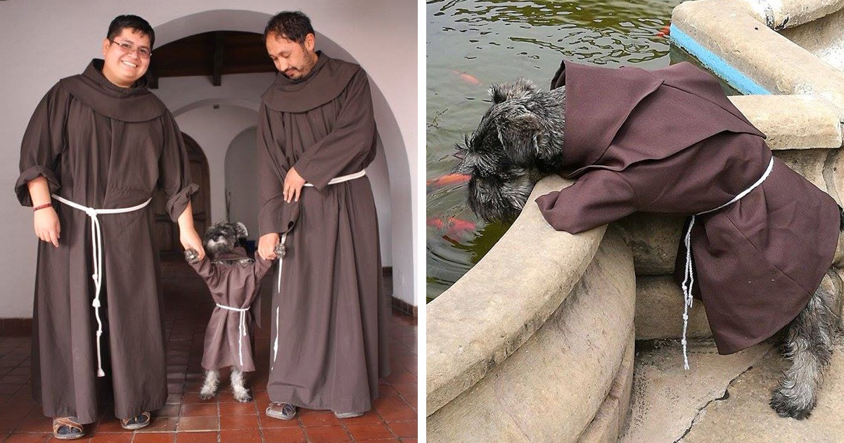 Esiste un cane monaco: si chiama Frate Bigotón