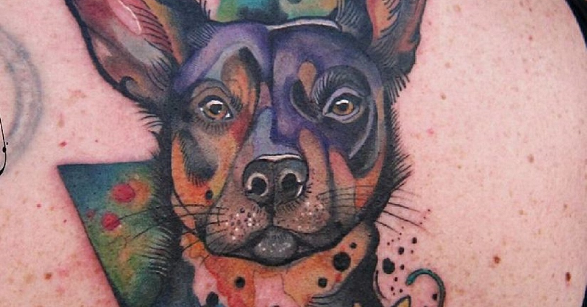 dobermann cane tattoo