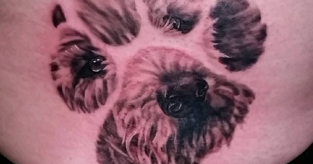 cane e zampa tattoo