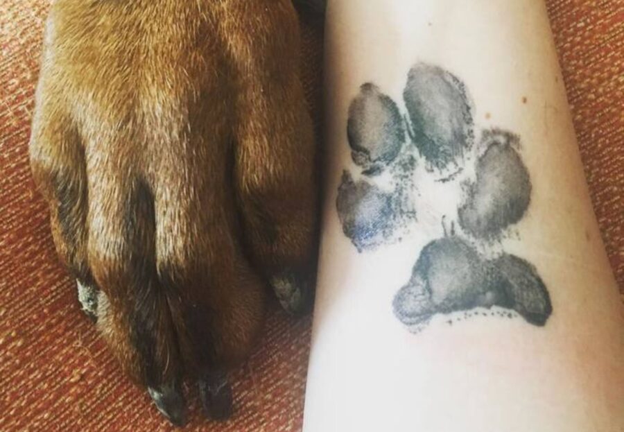 Una zampa di cane tatuata sull'avambraccio