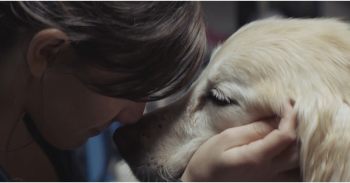 “Il mio cane è un animale, non una persona e di sicuro non è mio figlio ma io sono comunque la sua mamma…”