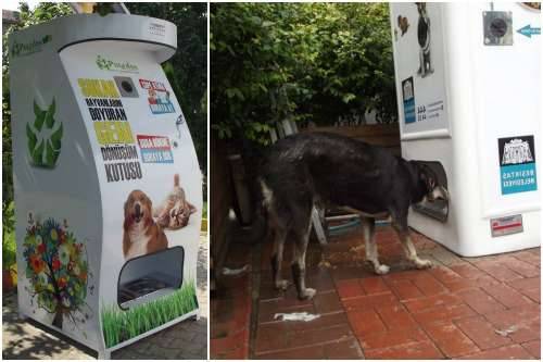 Distributore intelligente dona cibo per cani randagi in cambio di plastica.