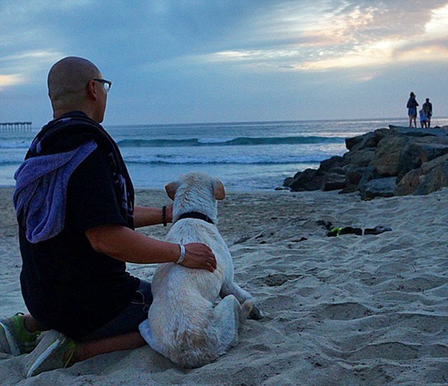 cane poh in spiaggia