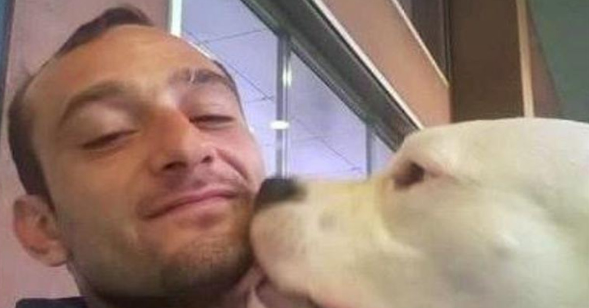 “Salvate il mio cane, la Danimarca vuole ucciderlo”