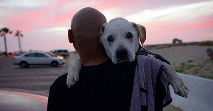 Il cane anziano Poh realizza tutti i suoi desideri prima di morire.