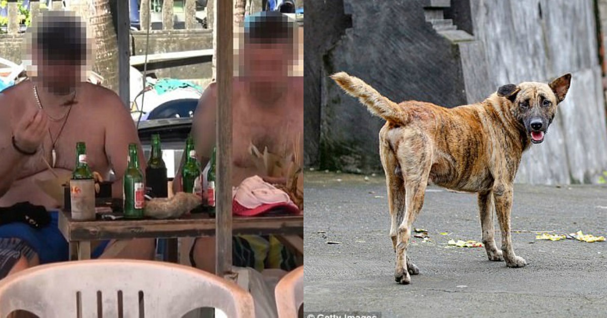 Turisti mangiano carne di cane a Bali, la spacciano per “carne di pollo”.