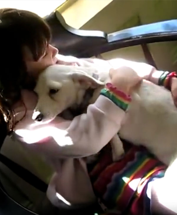 cute-shelter-dog-hugs-little-girl