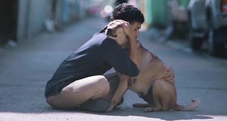 Abbracciare i cani randagi: un piccolo gesto che fa così tanto