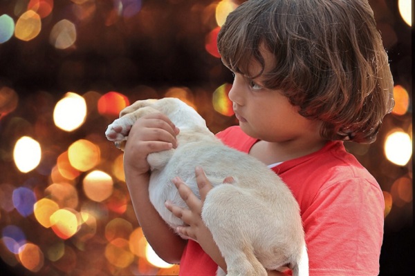 Avere un cane quando si hanno dei figli