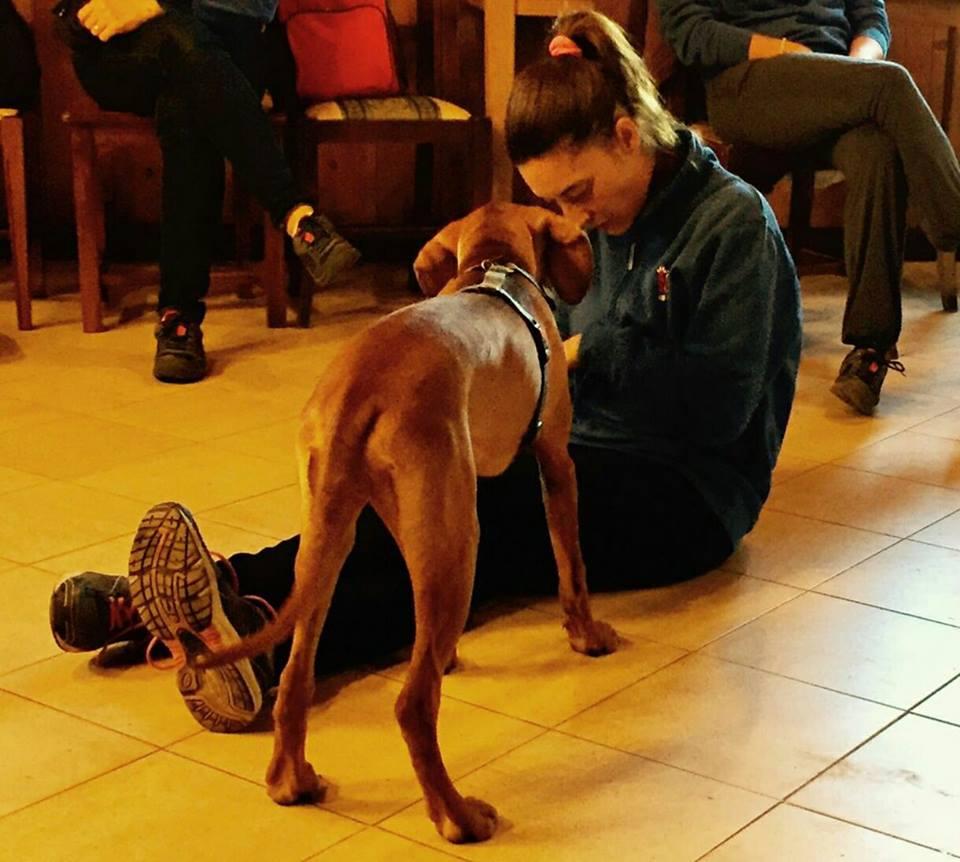 Cane che aiuta una ragazza