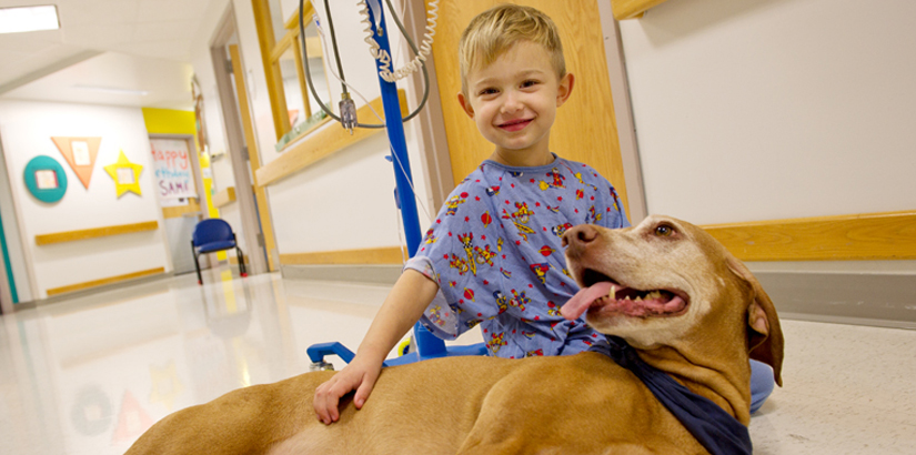 Cane che fa compagnia ad un bambino in ospedale