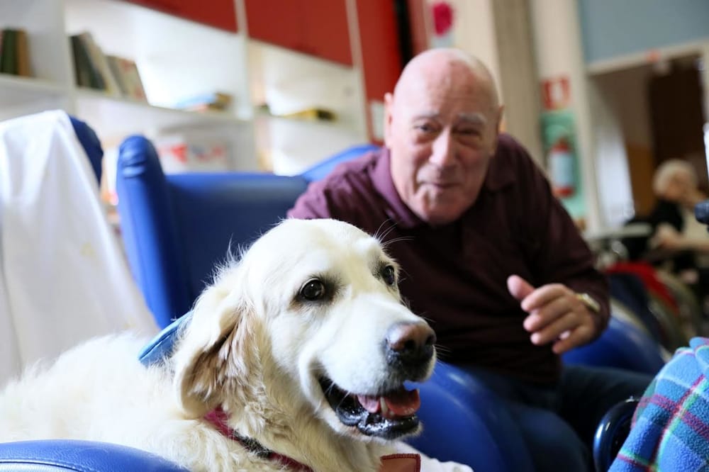 Cane che fa compagnia ad un paziente in ospedale