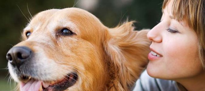 Cani contro la depressione