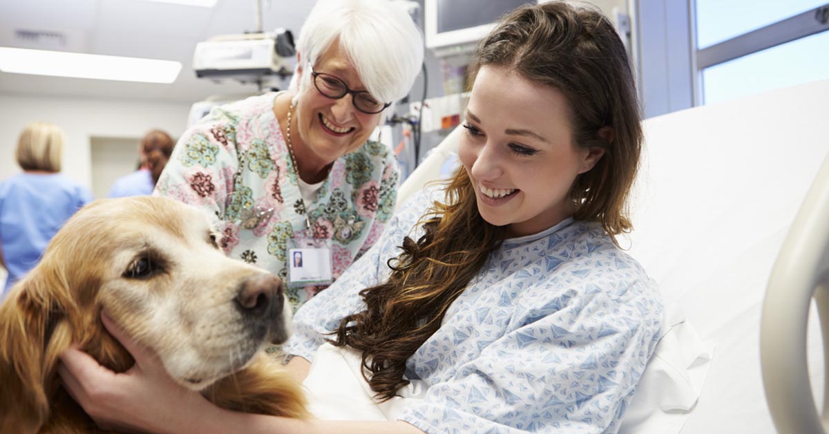 Cani per la Pet Therapy: in Piemonte sono arrivati i dottori con 4 zampe