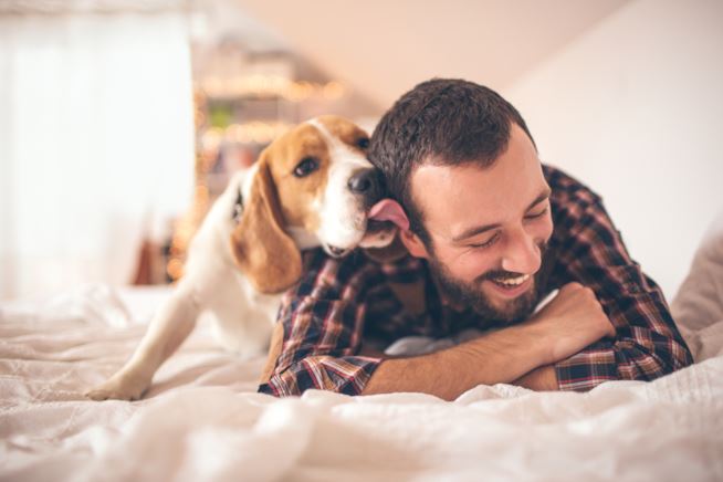 Ecco come i cani combattono la depressione