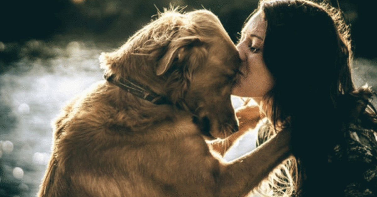 I segni zodiacali che adorano i cani come fossero persone