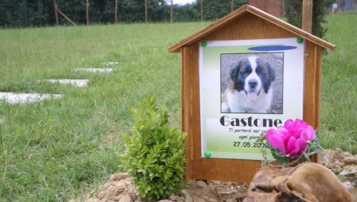 Il cimitero dei cani