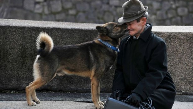 il-rapporto-con-il-nostro-cane-e-il-rapporto-migliore