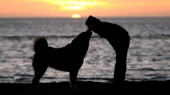 il-rapporto-con-il-nostro-cane-e-il-rapporto-piu-forte