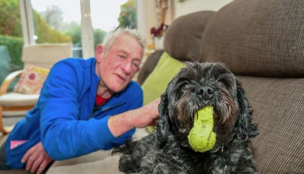 La storia dell'uomo che si è risvegliato dal coma per il suo cane