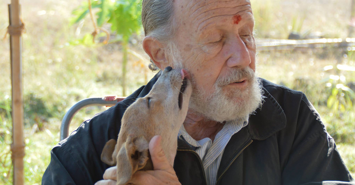 Leslie Robinson, l’angelo custode di tutti i cani in India