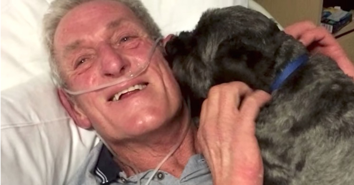 L’uomo che si è risvegliato dal coma dopo aver sentito il suo cane abbaiare