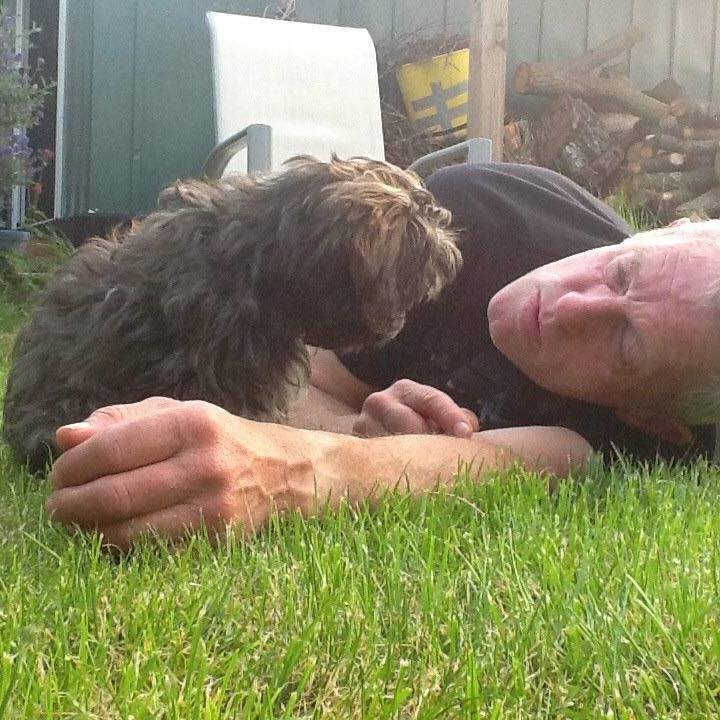 L'uomo si è risvegliato dal coma grazie al suo cane